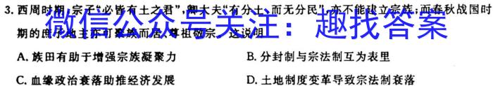 2024年衡水金卷先享题·分科综合卷(三)3历史