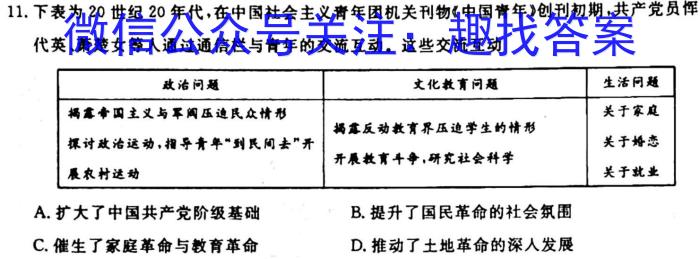 江淮十校2024届高三第二次联考（11月）历史