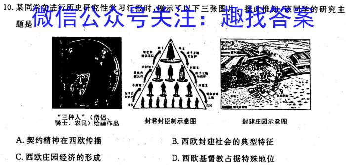 2024届全国名校高三单元检测示范卷(十五)历史