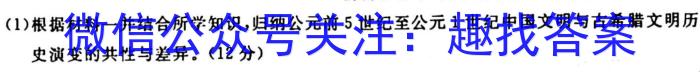 楚雄州中小学2023-2024学年上学期期中教育学业质量监测（高三）历史