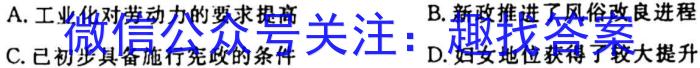河北省2023~2024高二第一学期一调考试(24104B)历史试卷