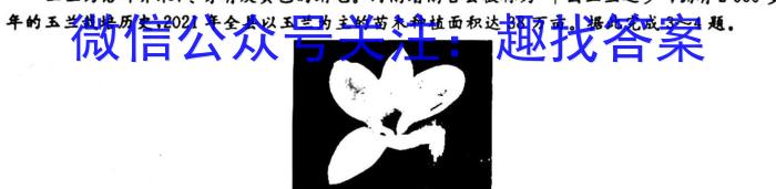 ʡ2023-2024ѧȾ꼶ѧпԵ.