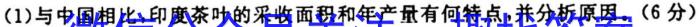 陕西省富平县2024年高三模拟考试(5月)地理试卷答案