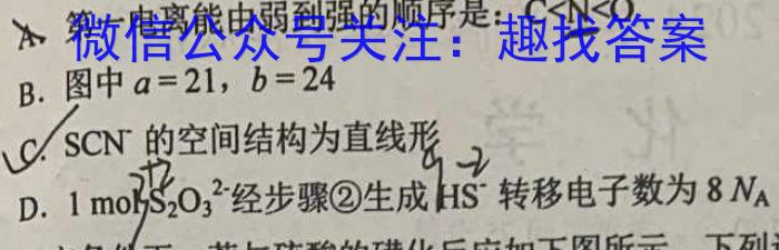 3衡水金卷先享题月考卷 2023-2024学年度上学期高三年级三调考试化学