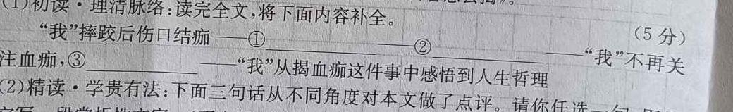 江苏省2023-2024学年第一学期联盟校高三年级第一次学情调研检测语文