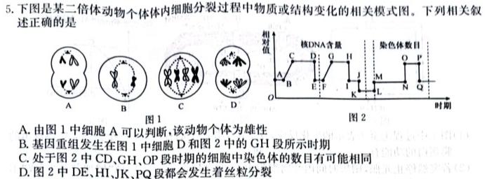 山西省2023-2024学年九年级第一学期期中教学质量评估生物学试题答案