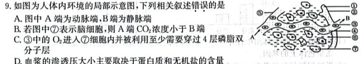 江西省2023-2024学年度高一年级11月联考（期中考试）生物