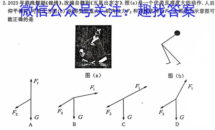 河北省2023-2024学年九年级第一学期第一阶段质量评价f物理