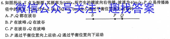 2023-2024学年河北省高二年级上学期10月联考(24-75B)物理`