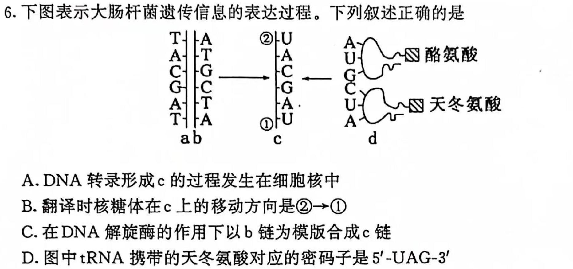 九师联盟2023-2024学年高三10月质量检测（新教材-L）生物