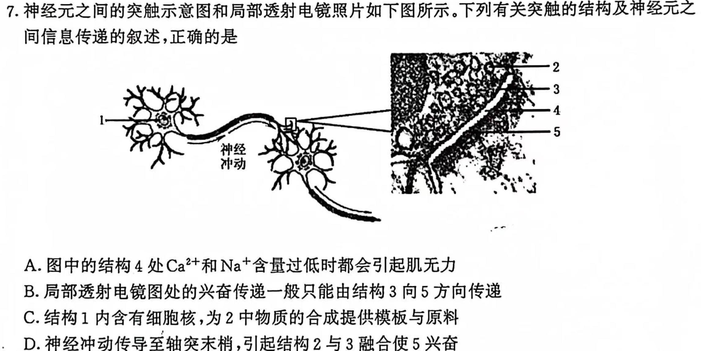 江西省2023-2024学年上学期高二10月教学质量检测生物试卷答案