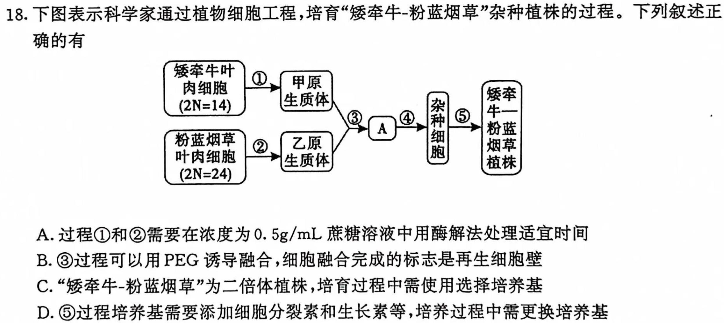 ［天一大联考］湖南省2024届高三年级上学期10月联考生物学试题答案