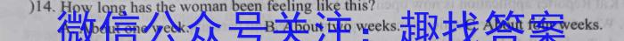 衡水金卷 广东省2024届高三10月大联考英语
