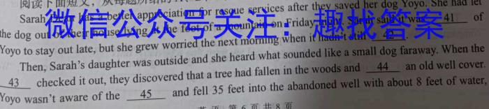 铭师·名卷2023-2024学年安徽县中联盟高二10月联考英语