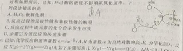 12023-2024学年度武汉市部分学校高三年级11月调研考试化学试卷答案