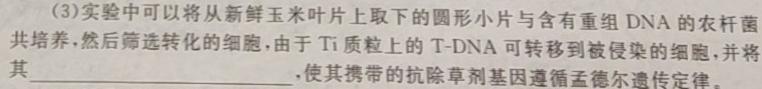 江西省上饶市民校考试联盟2023-2024学年高一年级上学期阶段测试（一）生物试卷答案