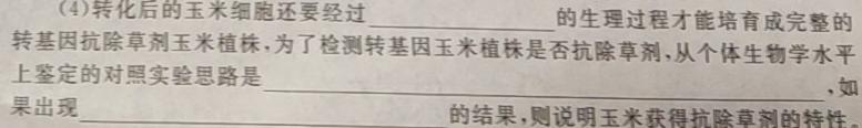 河北省高碑店市2023-2024学年度第一学期第一次阶段性教学质量监测（初一）生物学试题答案