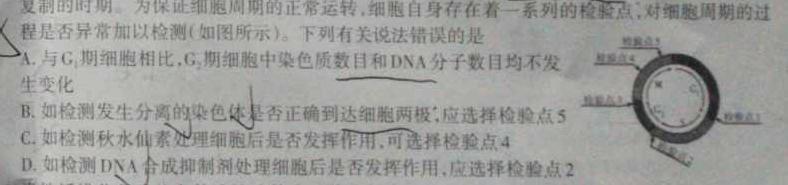安徽省蚌埠市2024届九年级G5联动教研第一次阶段性调研生物