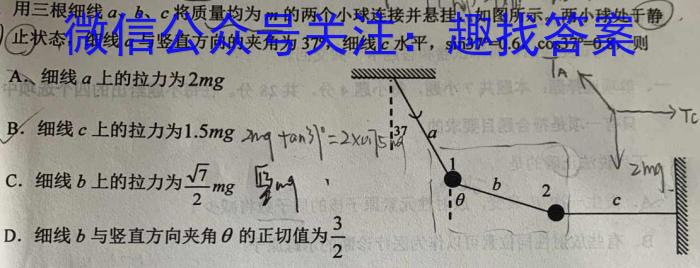 河北省2024届高三大数据应用调研联合测评（I）物理`