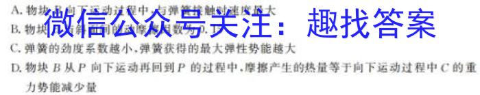 河北省2023~2024学年高三(上)第四次月考(24-91C)l物理