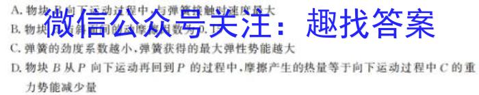 河北省2023~2024学年高三(上)第四次月考(24-91C)l物理