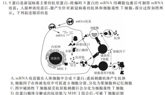非凡吉创 2024届高三年级TOP二十名校调研考试三(243065D)生物