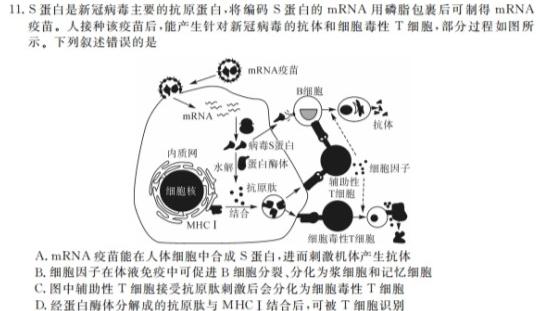 山西省2023-2024学年度九年级第一学期期中学情调研（A）生物