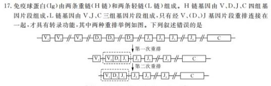 安徽省2023-2024学年度八年级上学期阶段评估（一）【1LR】生物学试题答案