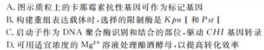 金科大联考·河北省2024届高三10月质量检测生物试卷答案