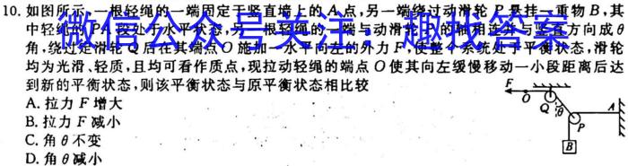 辽宁省2023-2024学年上学期九年级11月学业测评z物理