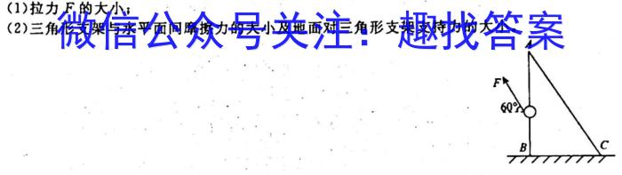 广东省2024届九年级期中综合评估[2LR]物理`