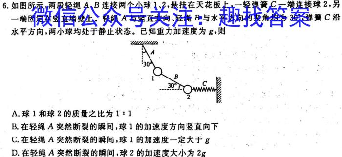 安徽省2023-2024九年级上学期阶段性练习(二)l物理