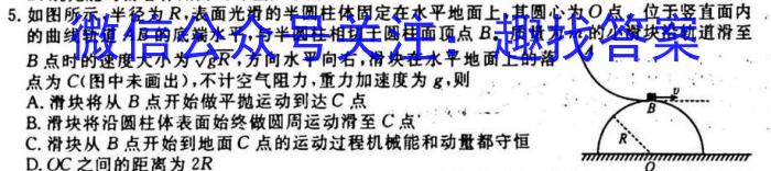 [今日更新]湖南省2023年下学期高二10月联考.物理