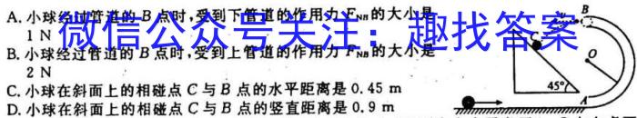 重庆市鲁能巴蜀中学2024届初三上第一次定时作业物理`