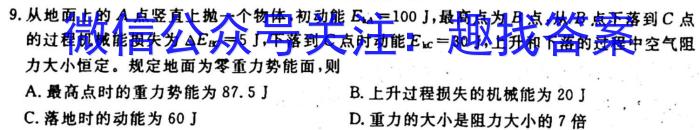 安徽省2023-2024学年七年级G5联动教研第一次阶段性调研物理`