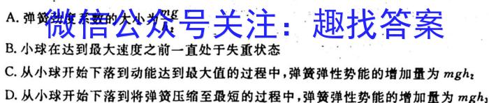 [今日更新]辽宁省2023-2024学年度高一年级十月月考.物理