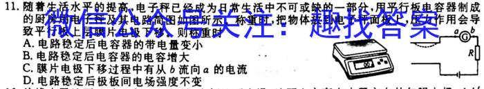 2024届河北省高三考试10月联考(24-126C)q物理