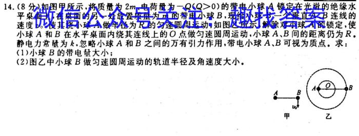 广东省2023~2024学年高二10月联考(24-74B)q物理