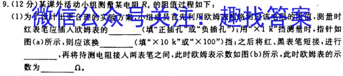 云南省2023-2024学年秋季学期七年级基础巩固卷(一)1物理`