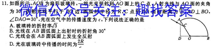 陕西省2024届高三期中测试(24-162C)物理`