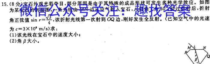 广西省2023-2024学年柳州高中/南宁二中高三(九月)联考物理`