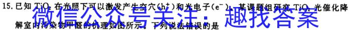3安徽省2023-2024学年上学期化学