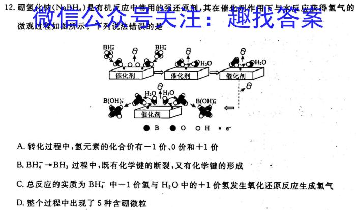 j江西省2023-2024学年度八年级上学期阶段评估（一）化学
