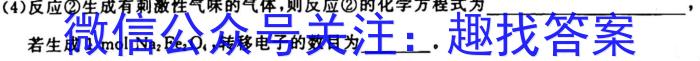 q河南省南阳市2025届八年级上学期10月联考化学