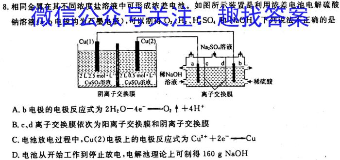 q2023-2024学年河北省高二年级上学期10月联考(24-75B)化学