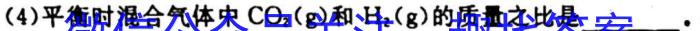 3河南省2023~2024学年新乡市高一“选科调研”第一次测试(24-96A)化学
