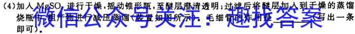 q2024年衡水金卷先享题分科综合卷 新教材B(一)化学