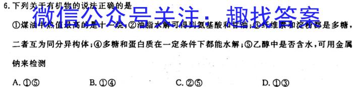 3河南省洛阳市强基联盟2023-2024学年高二上学期10月联考化学