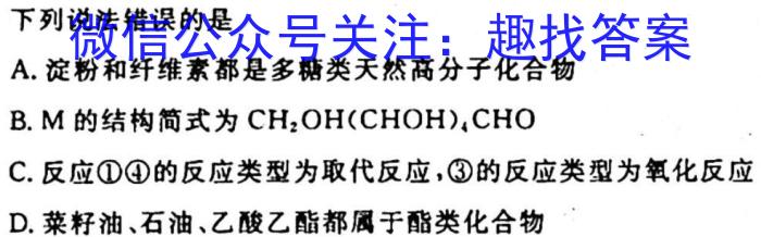 q河北省2023-2024学年九年级第一学期第一阶段质量评价化学