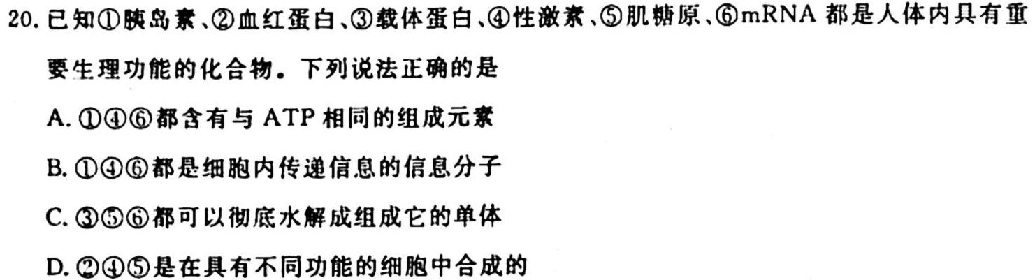 ［云南大联考］云南省2023-2024学年度高二年级上学期11月期中联考生物